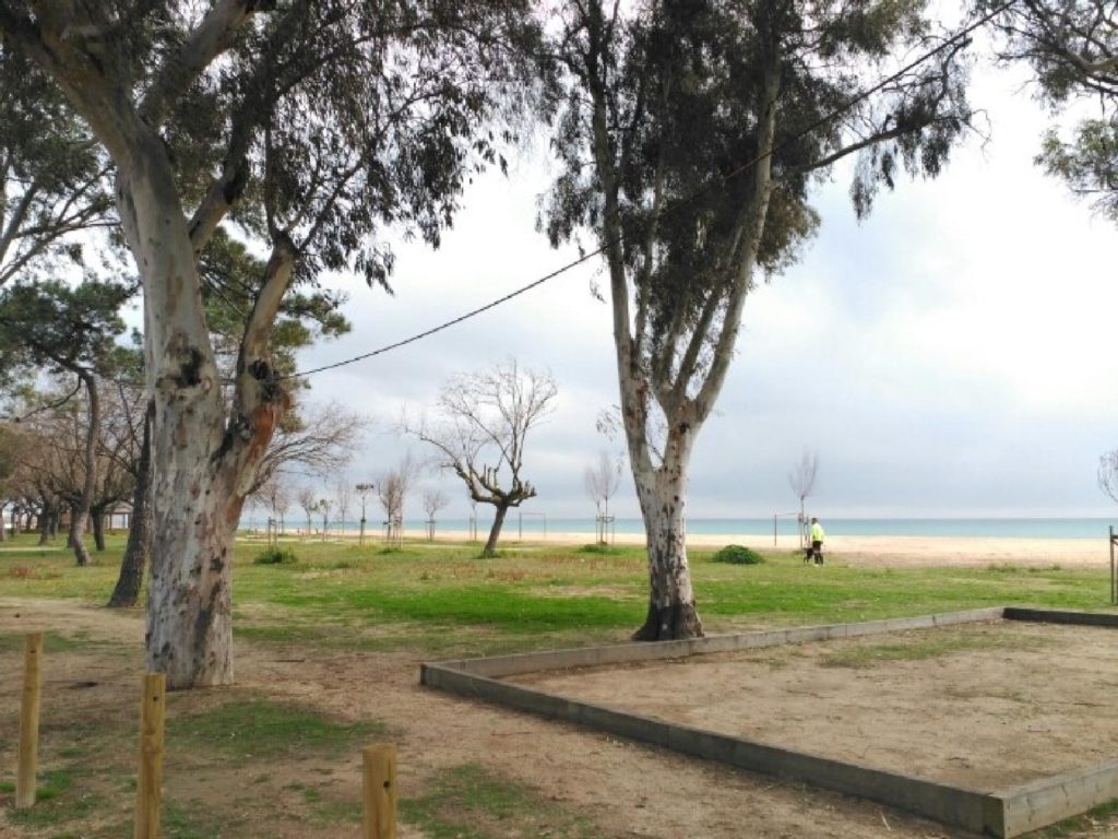 Playa dels Pins, Pineda de Mar